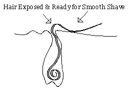 Whiskers Claw Step 3